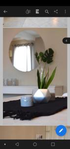 ein Badezimmer mit einem Spiegel und einer Pflanze auf einer Theke in der Unterkunft Asturias in Presidencia Roque Sáenz Peña