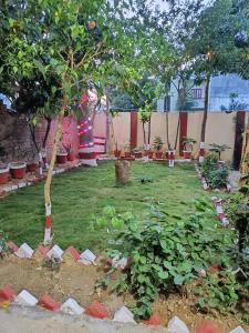 ogród z drzewami i roślinami na dziedzińcu w obiekcie Stay At The Home w mieście Waranasi