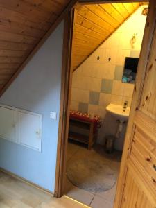 Zimmer mit einem Bad mit WC und Waschbecken in der Unterkunft Oraveski talu in Lodja