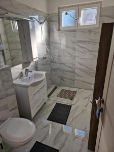 y baño con ducha, aseo y lavamanos. en Sobe kuća za odmor apartmani Auto Klarić, en Nova Gradiška