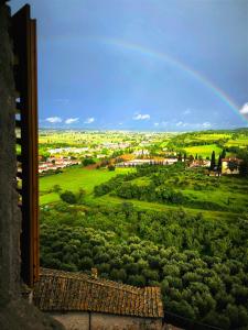 un arco iris en el cielo sobre un campo verde en Nero Gioconda, en Anghiari