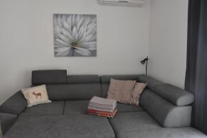 ein Wohnzimmer mit einer grauen Couch mit einem Blumenbild an der Wand in der Unterkunft Apartmani Andrea in Čižići