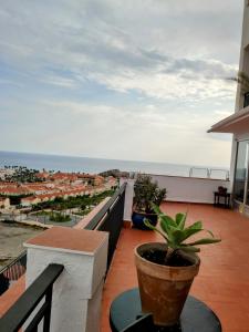 een balkon met een potplant en uitzicht op de oceaan bij Apartamento Bella Vista in Salobreña