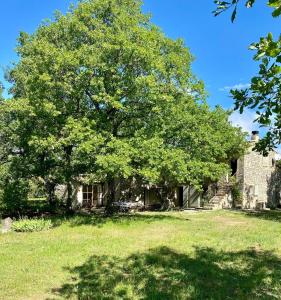 Jardí fora de La Bastide des Chênes Lacoste