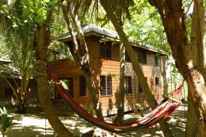 una hamaca frente a una casa de madera en Somali Jungle Eco Lodge and Cabins 