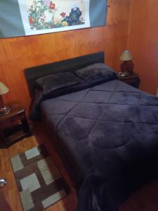 Postel nebo postele na pokoji v ubytování Cabaña el ricky