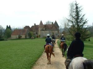 ヴィラの敷地内または近くで楽しめる乗馬