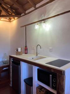 um balcão de cozinha com um lavatório e um micro-ondas em La Paredita Casa Taoro em Tanque