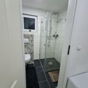 uma casa de banho com uma cabina de duche em vidro e um WC. em Elias Ruheoase em Pfungstadt