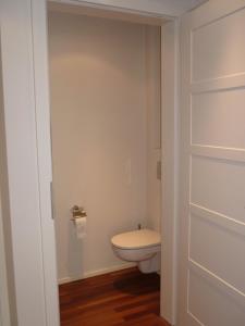 ザルツブルクにあるBook-A-Room Salzburg Apartment 9のバスルーム(トイレ、ドア付)