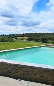 uma piscina com água azul num quintal em La ROSÉE des Cévennes Gîte 120m2 à 5min d'Anduze em Massillargues-Attuech