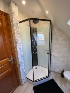 een douche met een glazen deur in de badkamer bij HIBISCUS in Malaunay