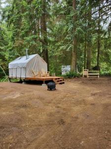 tenda e tavolo in legno in una foresta di Landing at Lake Ploenta ad Arlington