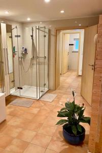 La grande salle de bains est pourvue d'une douche et d'une plante en pot. dans l'établissement Cosy Room in Remich, à Remich