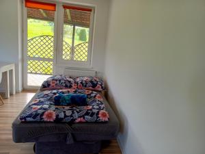 Cama pequeña en habitación con ventana en W Rajbrocie u Ewusi, en Rajbrot