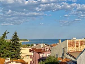 Příroda nedaleko apartmánu + 7 fotografií