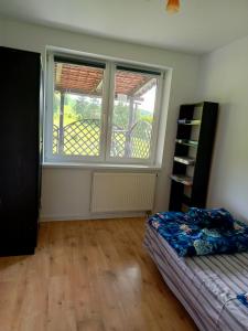 1 dormitorio con cama y ventana grande en W Rajbrocie u Ewusi, en Rajbrot