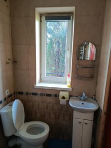 baño con aseo y lavabo y ventana en W Rajbrocie u Ewusi, en Rajbrot