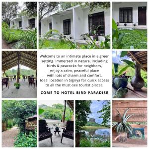 a collage of pictures of a house and a collage of photos at Hotel Bird Paradise in Sigiriya