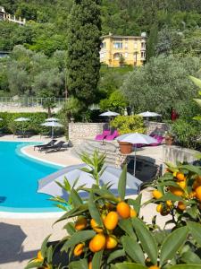 an orange tree with umbrellas and a swimming pool at La Casa al Torrente in Riva del Garda