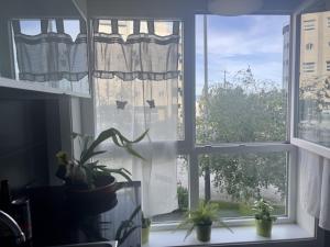 Zdjęcie z galerii obiektu Piso en Sada w mieście Sada
