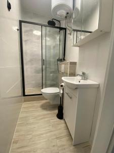 a bathroom with a toilet and a sink and a shower at J.D Apartment in Gniezno