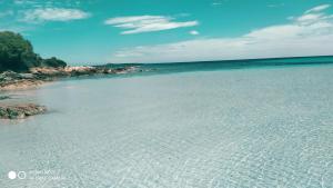 une plage avec de l'eau claire et des arbres sur la côte dans l'établissement Sardegna Top Golfo Di Marinella, à Golfo Aranci