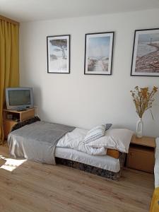 a bedroom with a bed and a tv on a wall at Kwatera u Kasi in Świnoujście