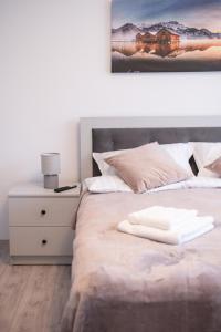 a bedroom with a bed with a picture on the wall at Konstanzer Podu Ros 11 - 3 camere,bucatarie, aer conditionat,masina de spalat in Iaşi