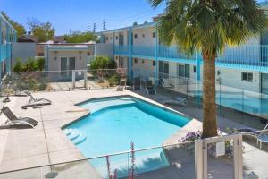 a swimming pool with a palm tree next to a building at DTPH Modern Designer Studio - Pool & Parking - in Phoenix