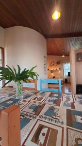 ein Wohnzimmer mit einem Tisch und einer Topfpflanze in der Unterkunft Rancho do Roque Bravo (Riviera de Sta. Cristina XIII) in Palmeiras