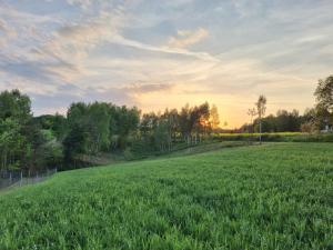 a field of green grass with the sunset in the background at Apartament Panorama - noclegi blisko Energylandii in Bachowice