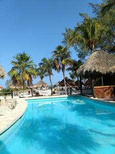 Bazén v ubytování Holbox by Xaloc nebo v jeho okolí