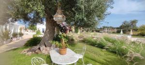 een tafel en stoelen onder een boom bij Masseria Verbena suites in Macchia di Monte
