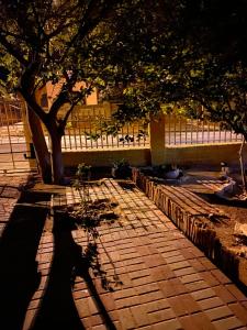 a shadow of a bench next to a tree at Alvin ‘s House in Tsumeb