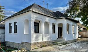 a white house with a gray roof at Udvar-ház in Nagyvisnyó