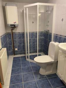 a blue tiled bathroom with a toilet and a shower at Tylösand guesthouse 300m from ocean & golf course in Halmstad