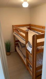 two bunk beds in a room with a potted plant at Tylösand guesthouse 300m from ocean & golf course in Halmstad