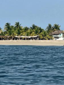 una playa con casas, palmeras y el océano en Cabañas Paraiso Chacahua, en Chamuscadero