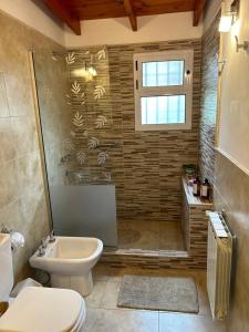 a bathroom with a shower and a toilet and a sink at Entre Sierras VGB Bertone in Villa General Belgrano