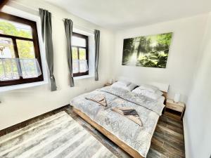 NagyvisnyóUdvar-ház的带一张床和两扇窗户的卧室