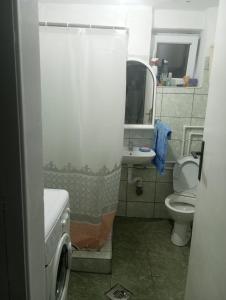Vannituba majutusasutuses Dragačevska kuća na bregu