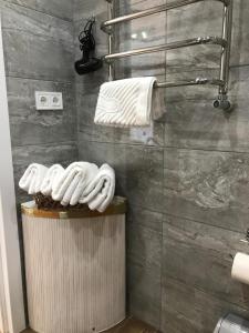 uma casa de banho com um chuveiro e toalhas numa prateleira em Light Apartments em Chernigov