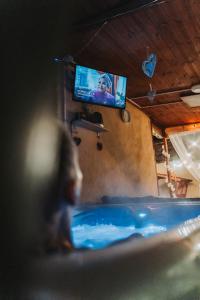 a tv in a room with a bath tub at Alina Apartman in Neszmély