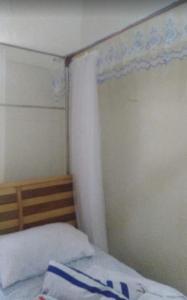 a bedroom with a bed with a curtain on it at Queens apartments in Entebbe