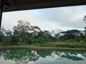 a view of a forest from the water of a pond at Arenal Surá in Fortuna