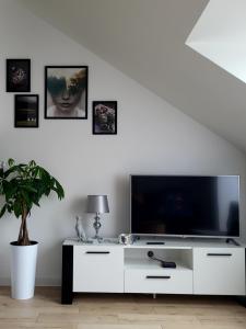 sala de estar con TV y armario blanco en Apartament Dolina Baryczy Milicz, en Milicz