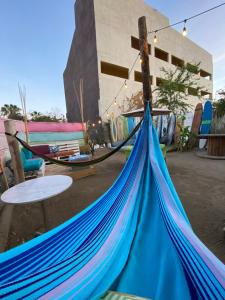 Fotografie z fotogalerie ubytování Aloha Surf Hostel v destinaci San José del Cabo