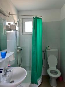 a bathroom with a green shower curtain and a toilet at Vilele Bianca in 2 Mai