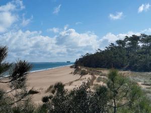 een uitzicht op een strand met bomen en de oceaan bij maison de village, a la semaine min, bord de mer in Les Sables Vignier